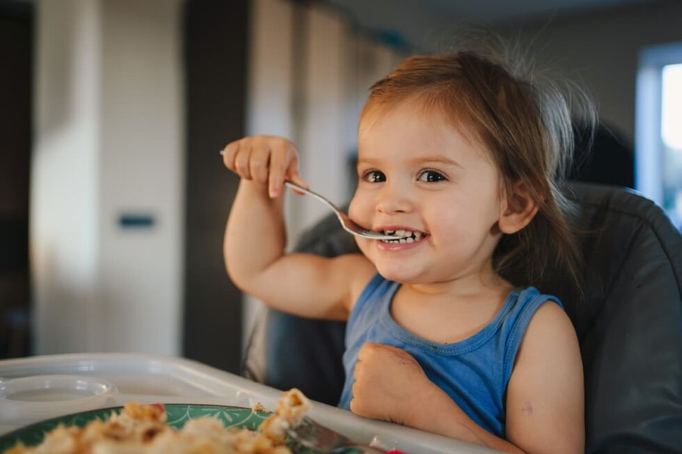 Cenas para niños Deliciosas y Nutritivas La Fallera