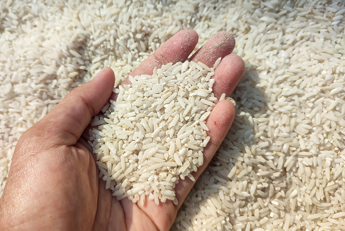 alergia al arroz