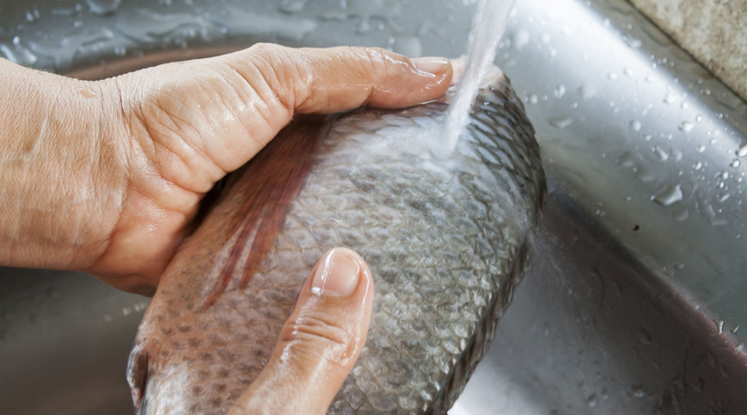 Preparación del Pescado